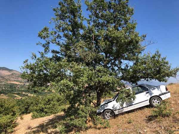Otomobiliyle Uçuruma Uçtu, Ağaç Sayesinde Yaralı Kurtuldu