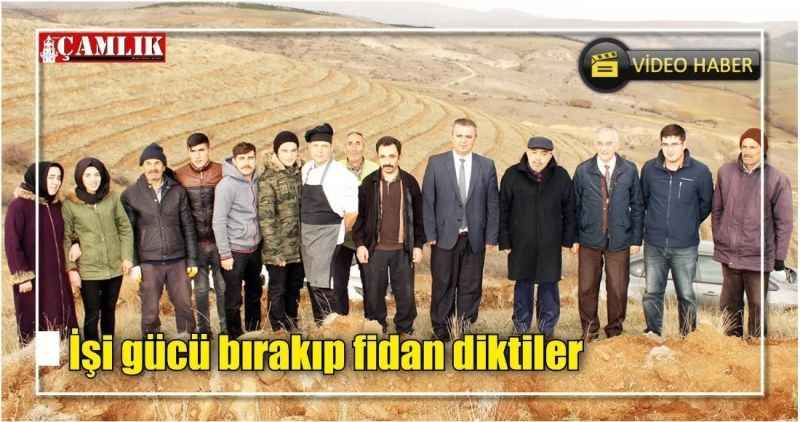 İşi gücü bırakıp fidan diktiler