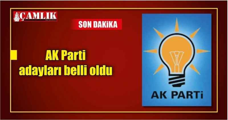 AK Parti adayları belli oldu