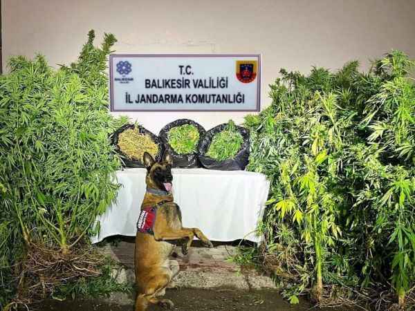 Balıkesir’de organize suç operasyonu yapıldı: 36 gözaltı