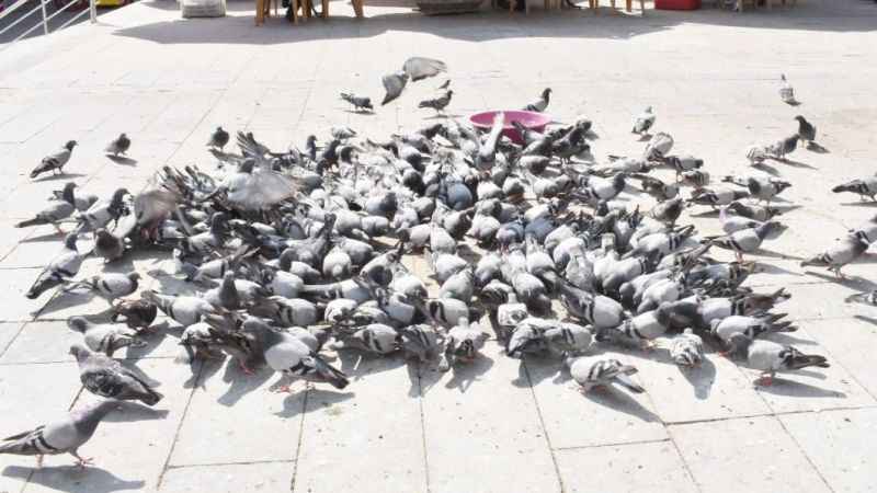 Yozgat'ın simgelerinden un pazarının daimi misafirleri
