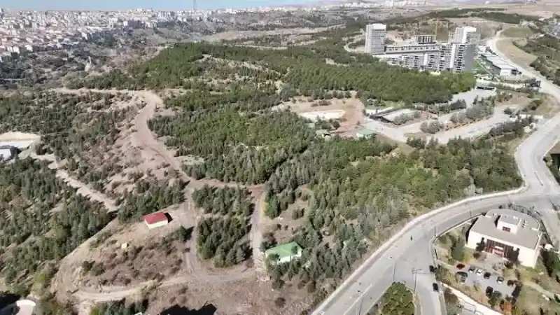 Ankara’da Bir Nefes: “Hacıkadın Kent Ormanı”