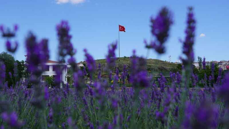 Ankara’da Kimsenin Bilmediği bir Cennet!