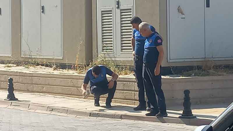 İyi varsın Sarıkaya zabıtası