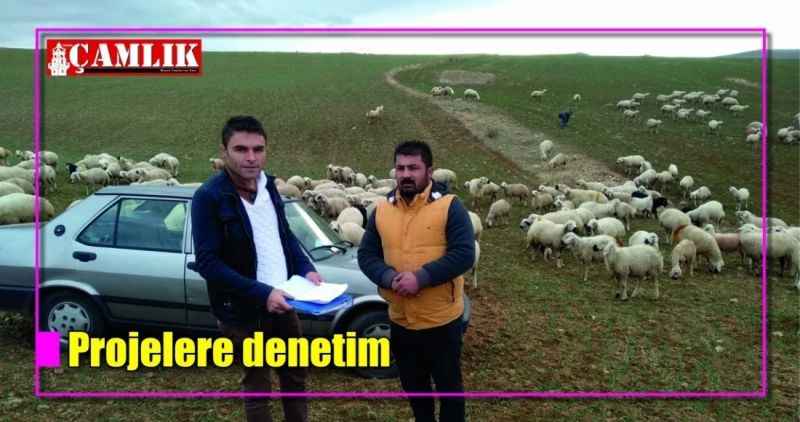 Hibe projelere denetim