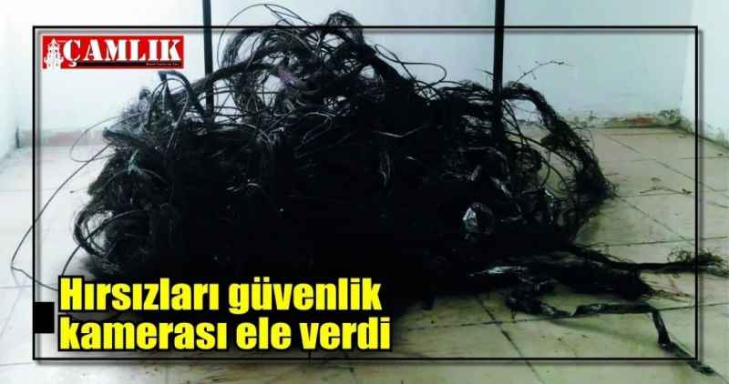Hırsızları güvenlik kamerası ele verdi