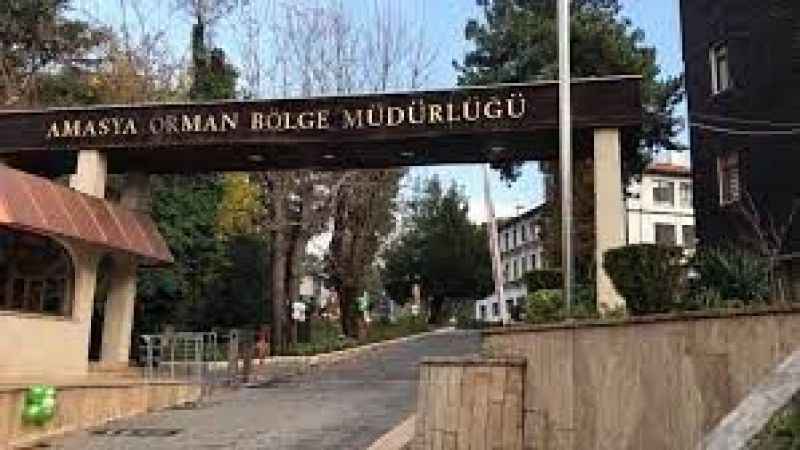 Amasya orman bölge müdürlüğü kazınma kazığı, gölgelik ve tuzluk işleri yaptıracak