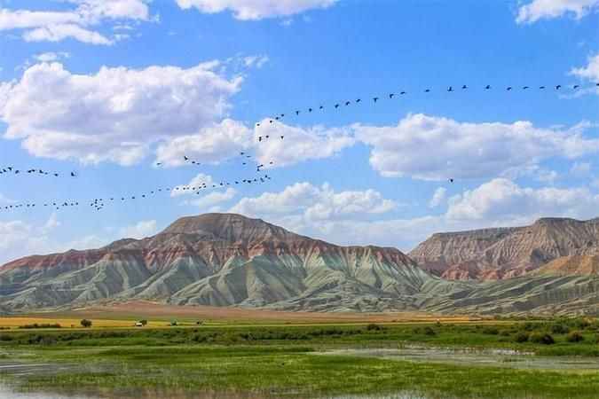 Kuş cenneti ve Evleriyle Meşhur Ankara İlçesini Yakından Tanıyalım