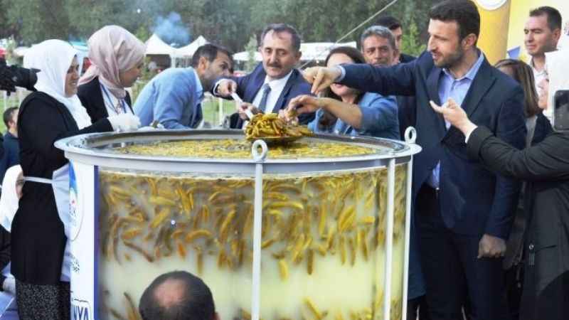 Ankara Çubuk Turşu festivali Başlıyor