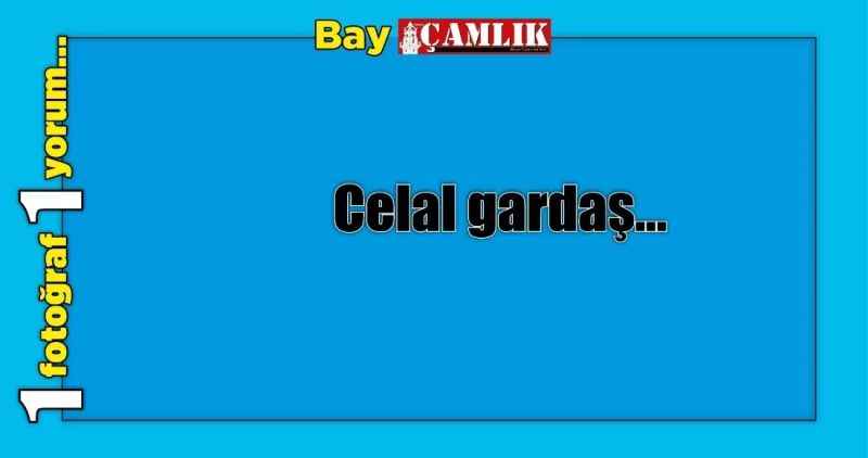 Celal gardaş…