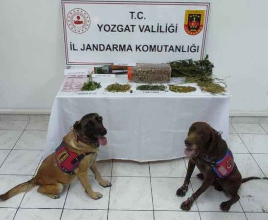 Yozgat Jandarması uyuşturucu operasyonunda esrar maddesi yakaladı