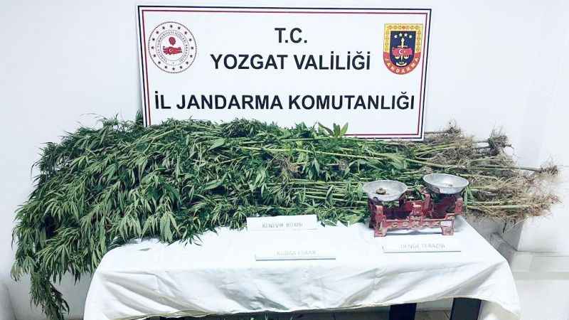 Yozgat'ta zehire geçit yok!