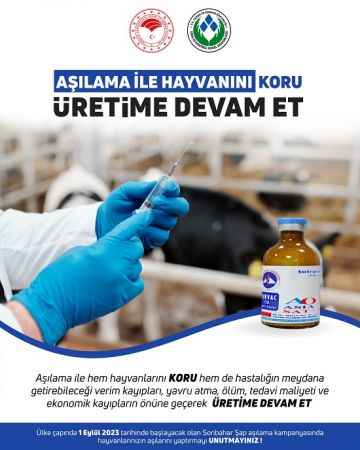 Yozgatlı çiftçilerin dikkatine… Yozgat’ta büyükbaş hayvanlarda görülen şap hastalığı için aşılama kampanyası başladı