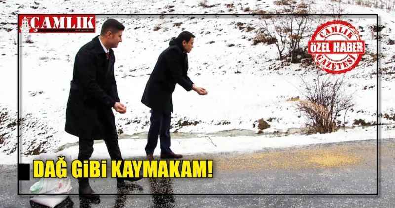 DAĞ GiBi KAYMAKAM!