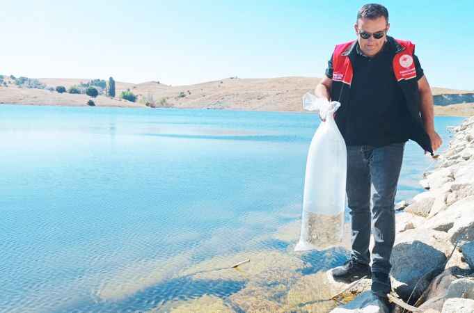 Yozgat'ın Akdağmadeni İlçesi'nde 30 Bin Yavru Sazan Balığı Göletlere Bırakıldı.
