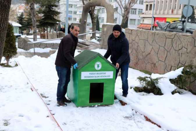 Yozgat Belediyesi'nden sokak hayvanlarına şefkat eli