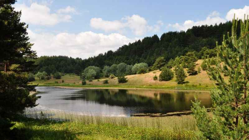 Ankara Rehberi: Doyumsuz Yeşil Ormanı ve Kekik Kokulu Lezzetiyle, “Kızılcahamam”
