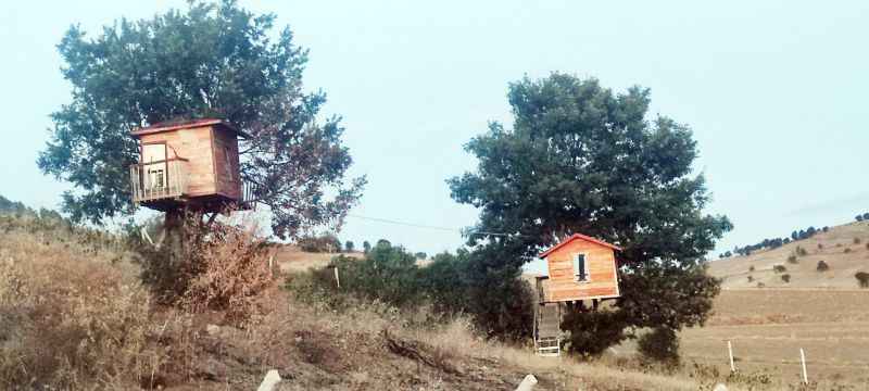 Yozgatlı Emekli Çift, Hayallerini 38 Yıl Sonra Gerçekleştirdi.