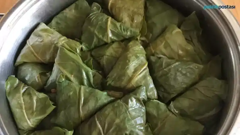 Bahar mevsiminin Ankaralılara sunduğu eşsiz lezzet “Efelek Sarması”