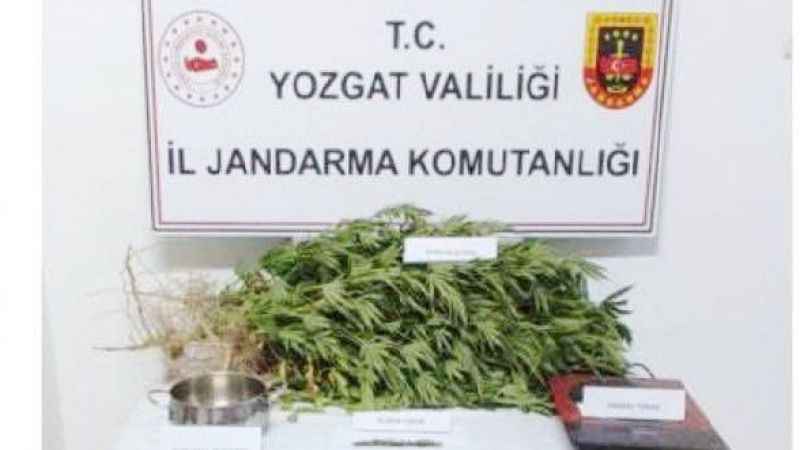 Son dakika Yozgat. Operasyonlar hız kesmeden devam ediyor!