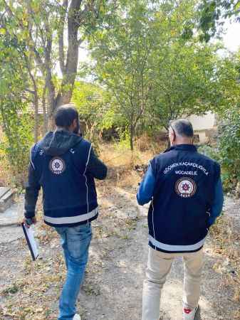 Yozgat Valiliği rakamları açıkladı.. Mücadele sürüyor!