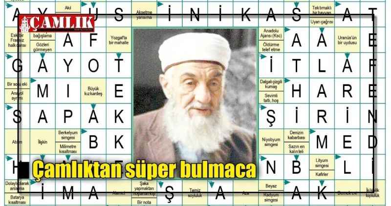 Çamlıktan süper bulmaca