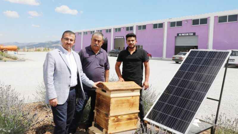 'Sokmayan arılar' Yozgat'ta lavanta balı üretimine başladı