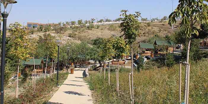 Ankara'da nefes aldıran park. Yeşil manzarasına ise doyum olmuyor