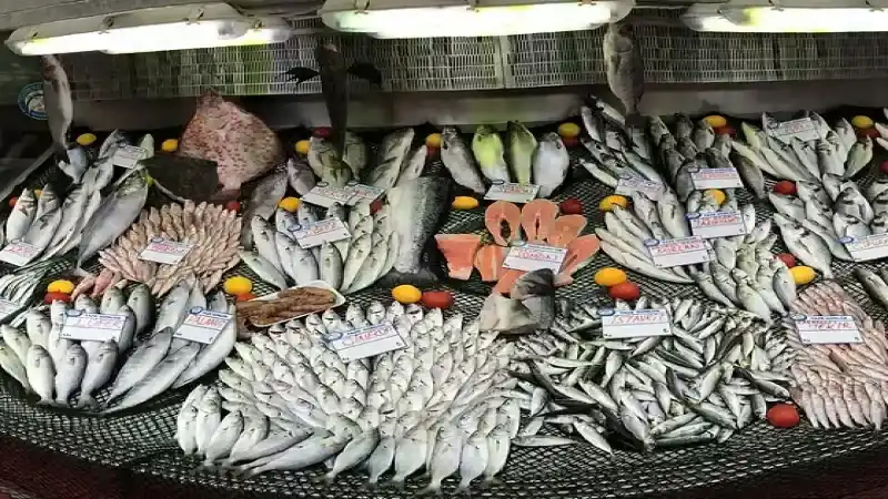 Bugün Balık Halinde En Ucuz En Taze Hamsi 25 TL