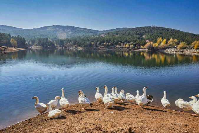 Yozgat'ın Konaklama Çeşitliliği: Turistleri Kendine Çekiyor