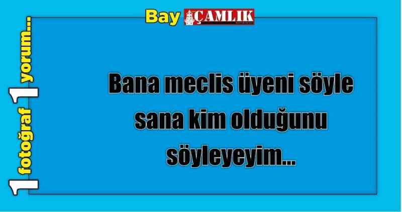 Bana meclis üyeni söyle sana kim olduğunu söyleyeyim…
