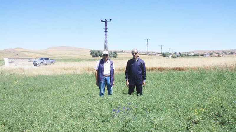 Toprak İşlemesiz Tarım, Yozgat'ta Yüksek Verimle Sonuçlanıyor