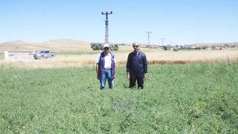 Yozgat il tarım müdürlüğü açıkladı: Yozgat'ta tarımda yeni gelişmeler...