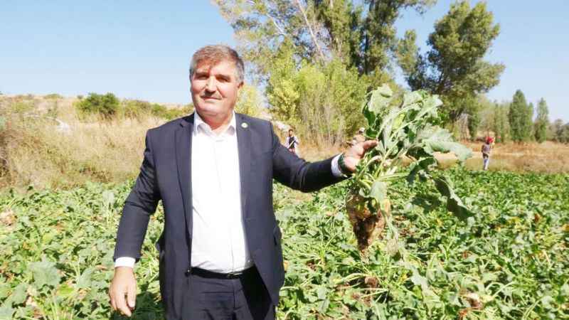 Şanlıurfa’dan Yozgat’a Mevsimlik İşçi Akını: Verimli Şeker Pancarı Hasadı Başladı