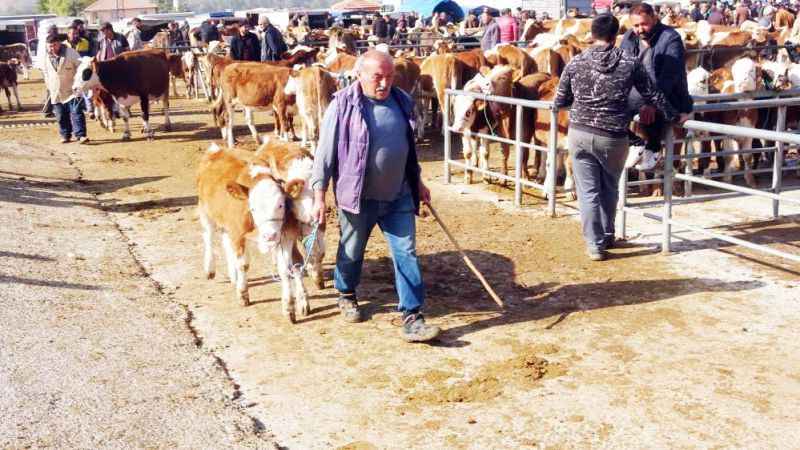 Yozgat'ta Hayvan Pazarları Yeniden Canlanıyor: Şap Hastalığı Sonrası Alım-Satımlar Hızlandı