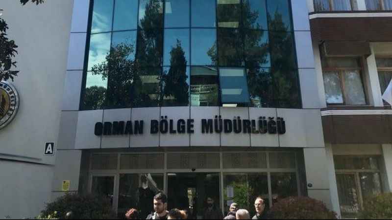 Kayseri orman bölge müdürlüğü fidan dikimi ve nakli hizmeti alacak