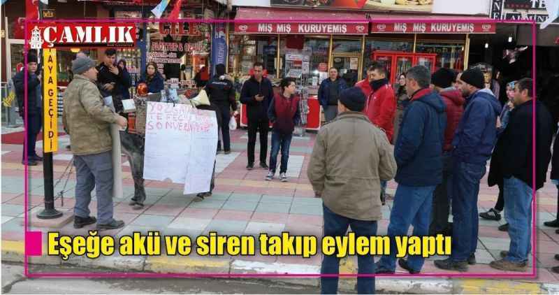 Eşeğe akü ve siren takıp eylem yaptı