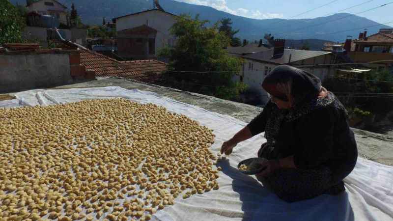 Damlara serildiler. 500 yıllık gelenek bir ilçeyi ne hale getirdi. İlçeye kuş bakışı bakanlar gördüklerine inanamadı
