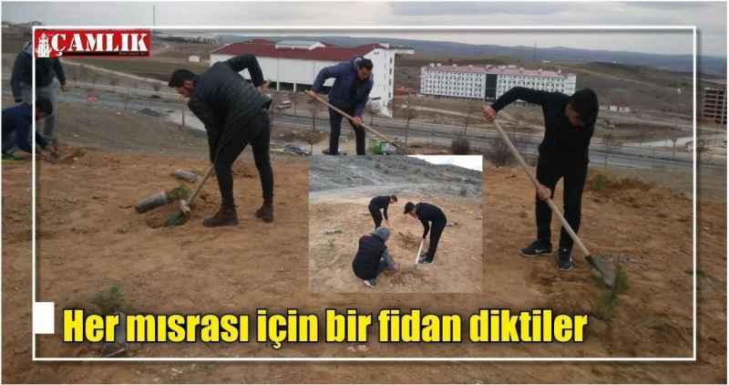 Her mısrası için bir fidan diktiler