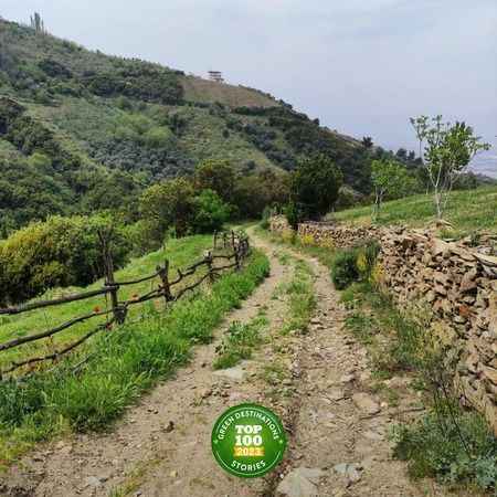 İzmir'in Efeler Yolu her beyne girecek. İlk yüz listesine İzmir Büyükşehir Belediyesi de yer alıyor