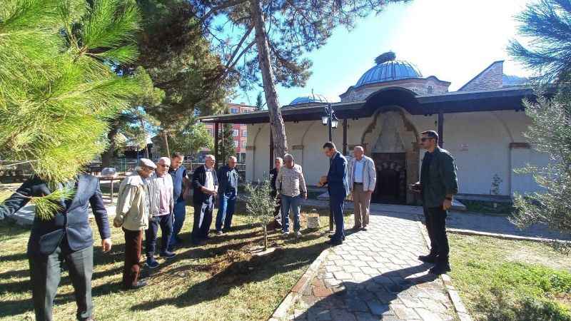 Caminin bahçesindeki bereket: hasadı da lezzeti de dillere destan.