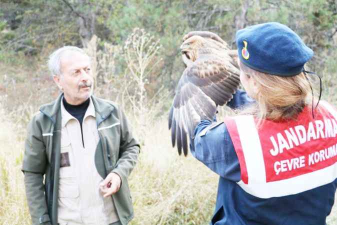 Yozgat Sarıkaya'da Jandarma'dan Yaralı Kızıl Şahin'e Şefkat Eli!