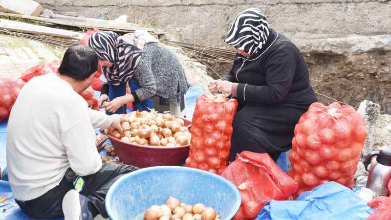 Yozgat Pazarının Yıldızları: Soğan ve Patates!