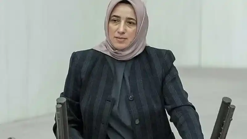 Özlem Zengin Kimdir?
