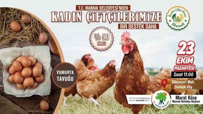 Mamak Belediyesi'nden Kadın Çiftçilere Yüzde 90 Hibeli Yumurta Tavuğu Desteği