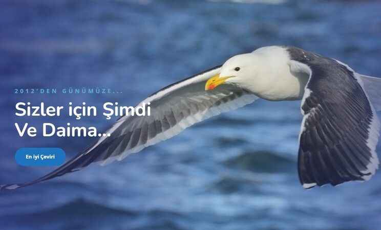 İşaret Dili Tercümanlığı