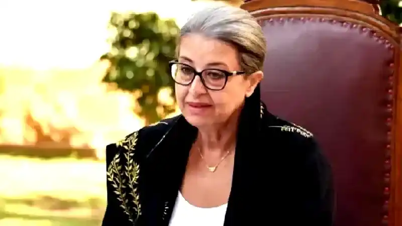 Narin Ferdi Şefik Kimdir, Kaç Yaşında, Nereli?