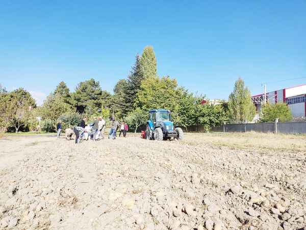 Komşu İl Niğde'de Yerli Patates Çeşidi 'Leventbey' ile Tarım Sektöründe Dev Adım!