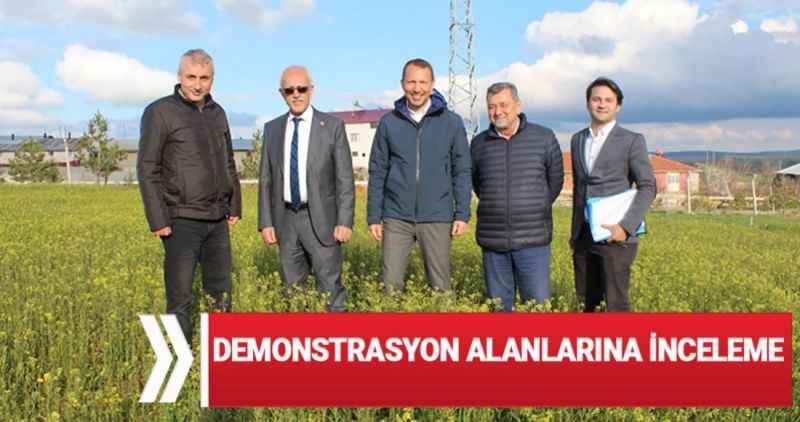 Demonstrasyon alanlarına inceleme