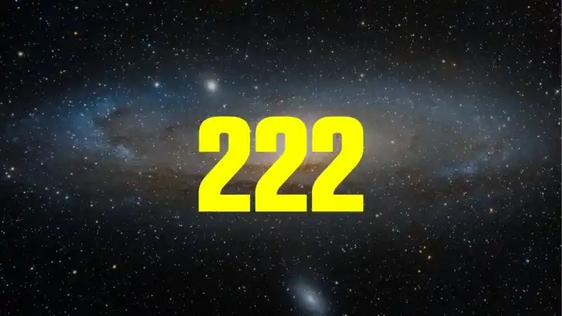 222 Ne Demek?